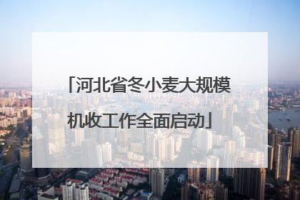 河北省冬小麦大规模机收工作全面启动