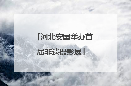河北安国举办首届非遗摄影展