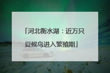 河北衡水湖：近万只夏候鸟进入繁殖期