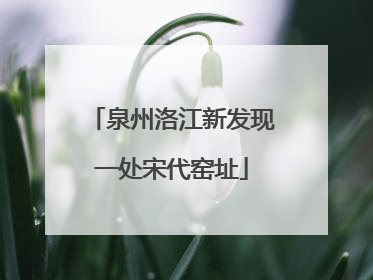 泉州洛江新发现一处宋代窑址