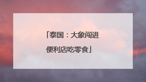 泰国：大象闯进便利店吃零食