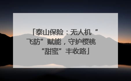 泰山保险：无人机“飞防”赋能，守护樱桃“甜蜜”丰收路