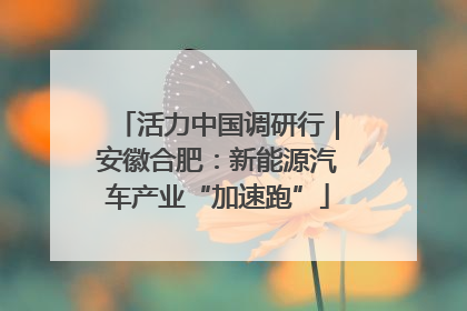 活力中国调研行｜安徽合肥：新能源汽车产业“加速跑”