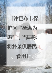 津巴布韦保护区“象满为患”，当局称将扑杀供居民食用