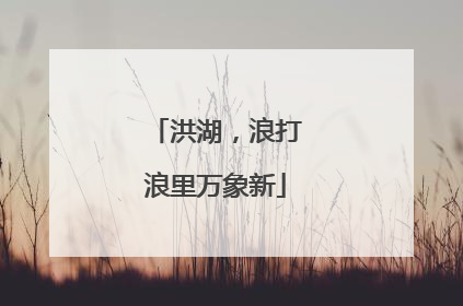 洪湖，浪打浪里万象新