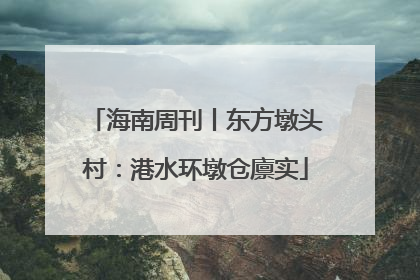 海南周刊丨东方墩头村：港水环墩仓廪实