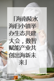 海南陵水海归小镇举办生态共建大会，数智赋能产业共创出海新未来