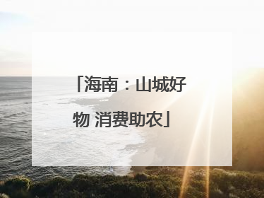 海南：山城好物 消费助农