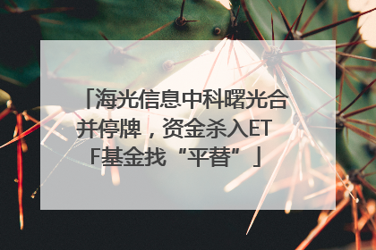 海光信息中科曙光合并停牌，资金杀入ETF基金找“平替”