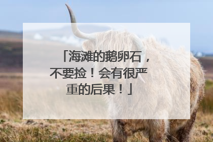 海滩的鹅卵石，不要捡！会有很严重的后果！