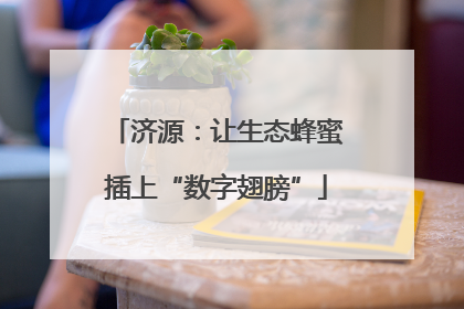 济源：让生态蜂蜜插上“数字翅膀”