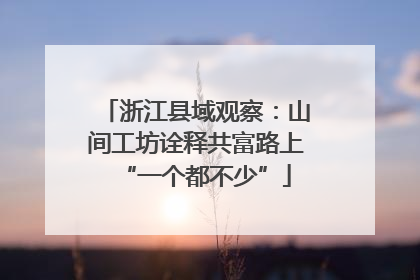 浙江县域观察：山间工坊诠释共富路上“一个都不少”