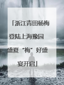 浙江青田杨梅登陆上海豫园 盛夏“梅”好盛宴开启