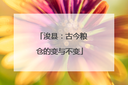浚县：古今粮仓的变与不变