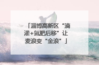 淄博高新区“滴灌+氮肥后移”让麦浪变“金浪”