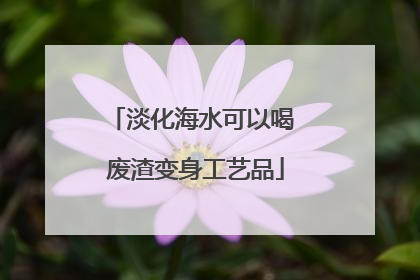 淡化海水可以喝 废渣变身工艺品