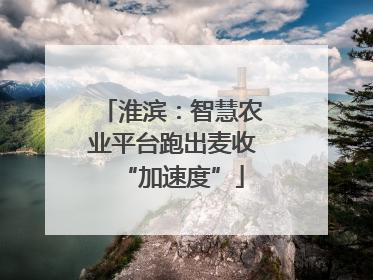 淮滨：智慧农业平台跑出麦收“加速度”