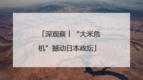 深观察丨“大米危机”撼动日本政坛