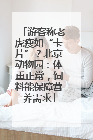 游客称老虎瘦如“卡片”？北京动物园：体重正常，饲料能保障营养需求