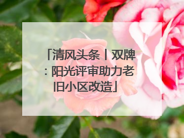 清风头条丨双牌：阳光评审助力老旧小区改造