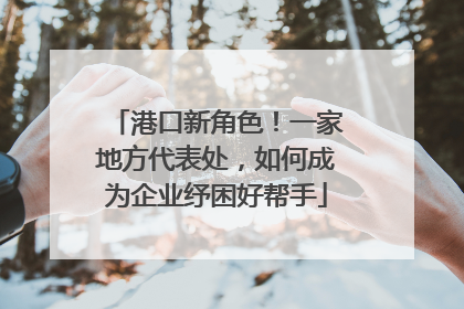 港口新角色！一家地方代表处，如何成为企业纾困好帮手