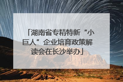湖南省专精特新“小巨人”企业培育政策解读会在长沙举办