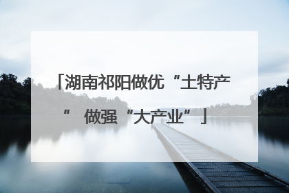 湖南祁阳做优“土特产” 做强“大产业”
