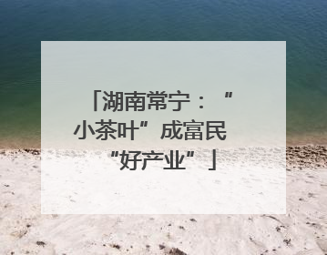 湖南常宁：“小茶叶”成富民“好产业”