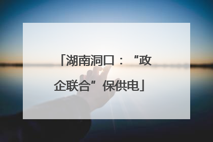 湖南洞口：“政企联合”保供电