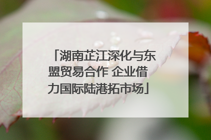湖南芷江深化与东盟贸易合作 企业借力国际陆港拓市场