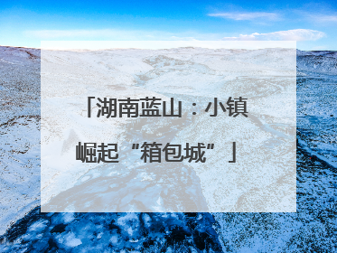 湖南蓝山：小镇崛起“箱包城”