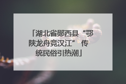 湖北省郧西县“鄂陕龙舟竞汉江” 传统民俗引热潮