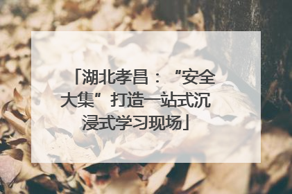 湖北孝昌：“安全大集”打造一站式沉浸式学习现场