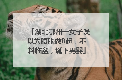 湖北鄂州一女子误以为腹胀做B超，不料临盆，诞下男婴