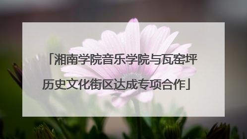 湘南学院音乐学院与瓦窑坪历史文化街区达成专项合作