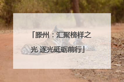 滕州：汇聚榜样之光 逐光砥砺前行