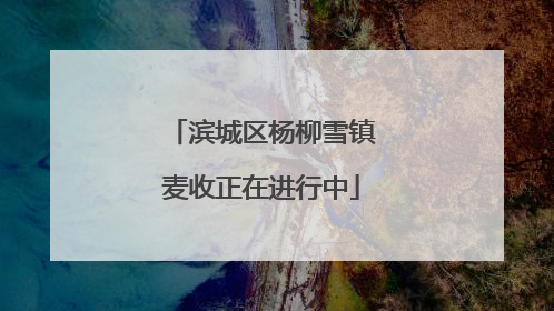滨城区杨柳雪镇麦收正在进行中
