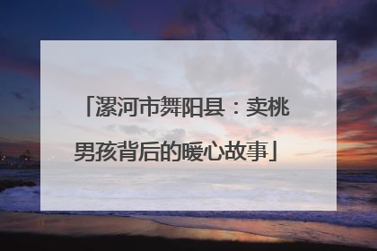 漯河市舞阳县：卖桃男孩背后的暖心故事