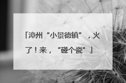 漳州“小景德镇”，火了！来，“碰个瓷”