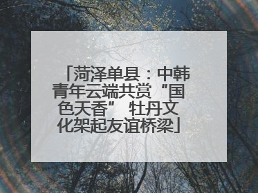 菏泽单县：中韩青年云端共赏“国色天香” 牡丹文化架起友谊桥梁