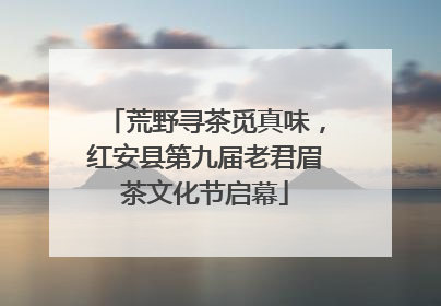 荒野寻茶觅真味，红安县第九届老君眉茶文化节启幕