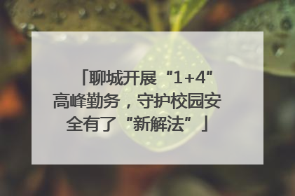 聊城开展“1+4”高峰勤务，守护校园安全有了“新解法”