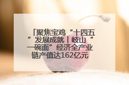 聚焦宝鸡“十四五”发展成就丨岐山“一碗面”经济全产业链产值达162亿元 入选全国典型县