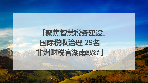 聚焦智慧税务建设、国际税收治理 29名非洲财税官湖南取经