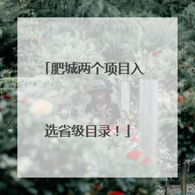 肥城两个项目入选省级目录！