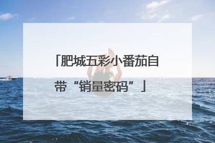 肥城五彩小番茄自带“销量密码”