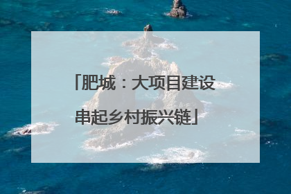 肥城：大项目建设串起乡村振兴链