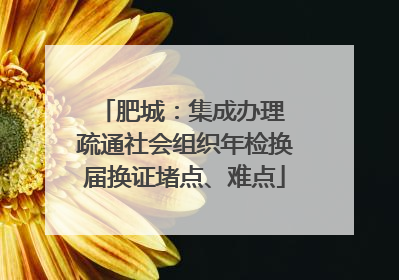 肥城：集成办理 疏通社会组织年检换届换证堵点、难点