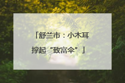 舒兰市：小木耳撑起“致富伞”