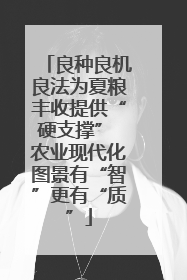 良种良机良法为夏粮丰收提供“硬支撑” 农业现代化图景有“智”更有“质”
